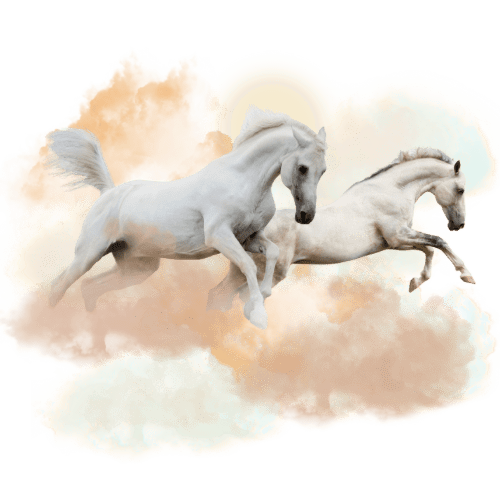 Mentorship for Healing Artists & Therapists —